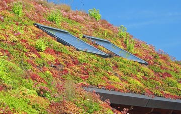 Nether Street living roof systems
